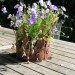 Kleinod im Garten
