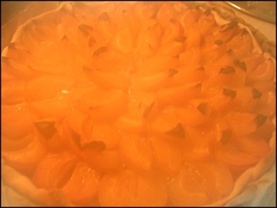 aprikosenwähe mit dampf.jpg