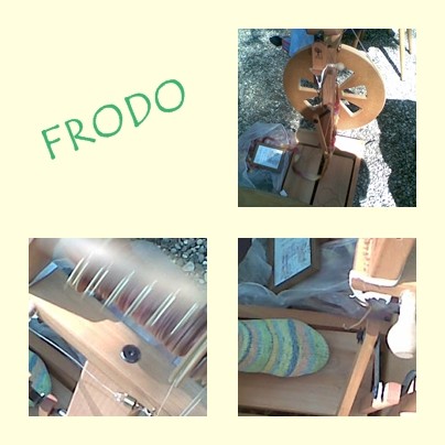 frodo collage.jpg